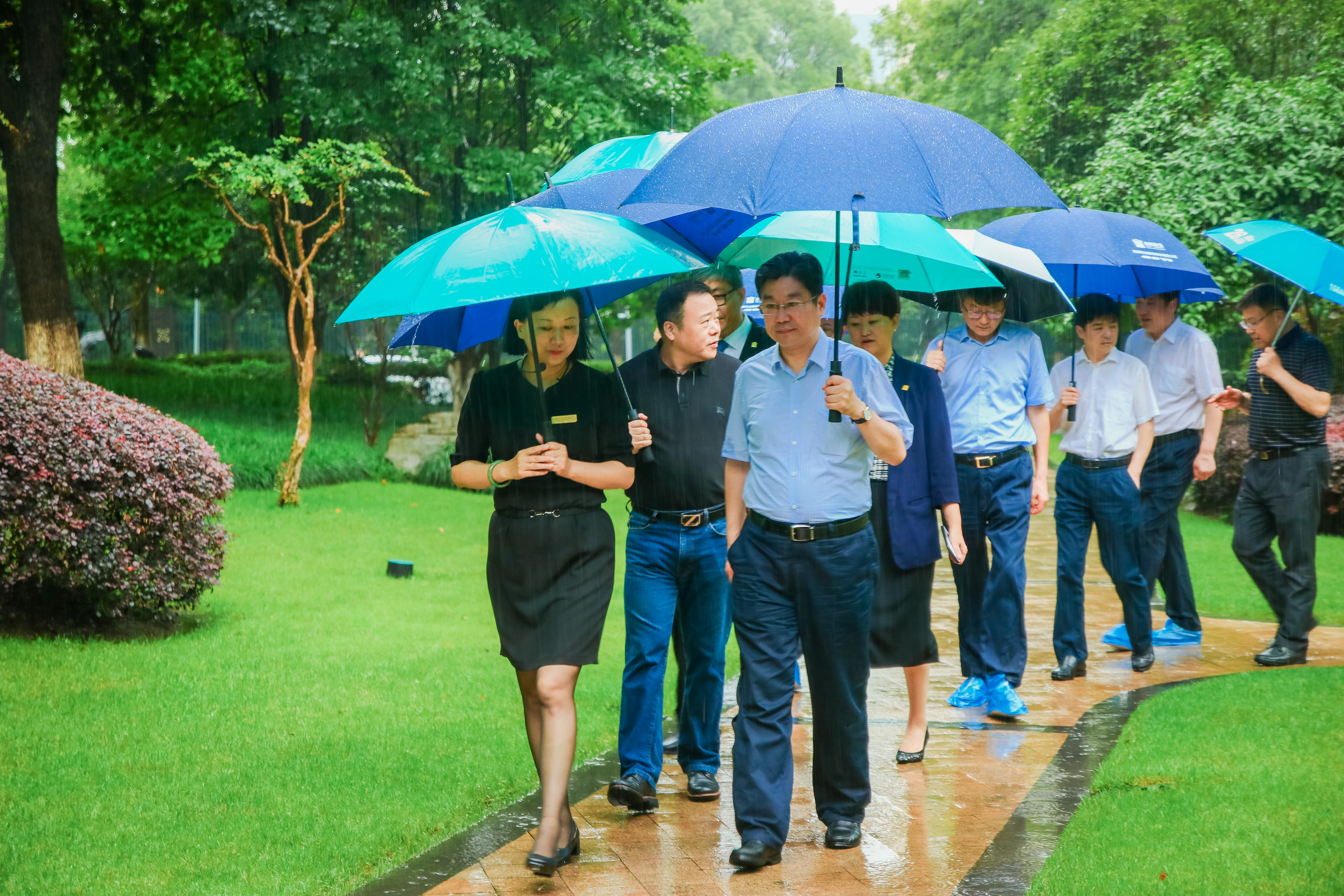 服务至上|镇江市丹徒区委书记张映桥等领导一行走访考察918博天堂服务项目东方润园